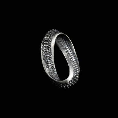 Mobius Pendant