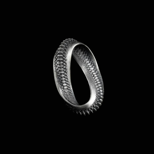 Mobius Pendant