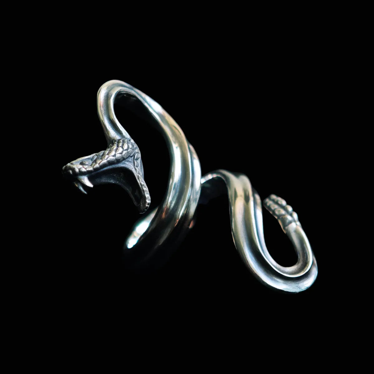 Guard of the Divine Serpent Ring
