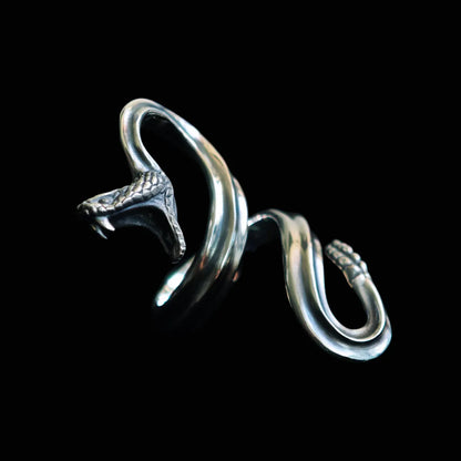 Guard of the Divine Serpent Ring