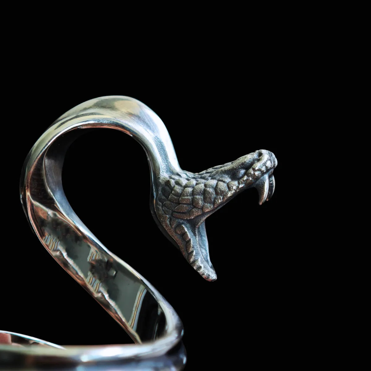 Guard of the Divine Serpent Ring