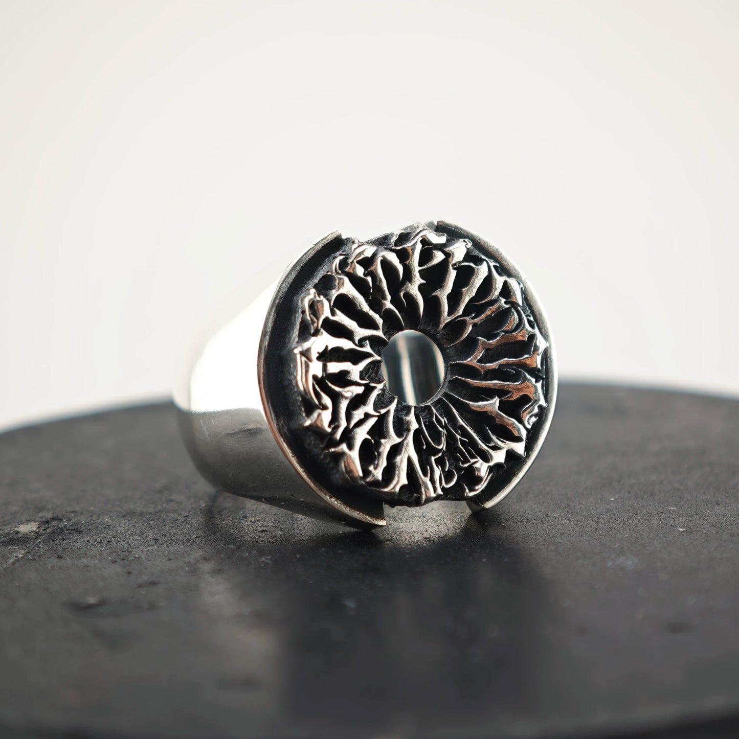 Turbine Ring