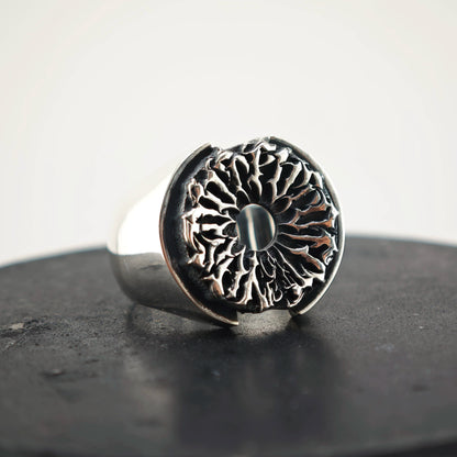 Turbine Ring