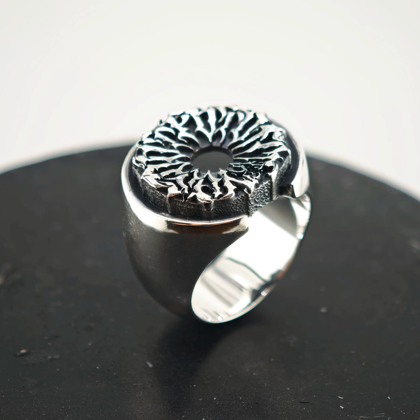 Turbine Ring