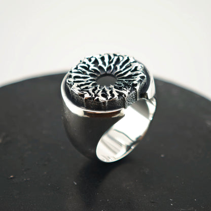 Turbine Ring